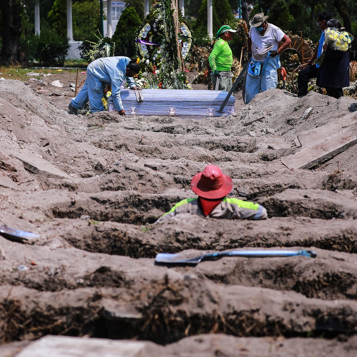 Mexico Tidbits tweet media