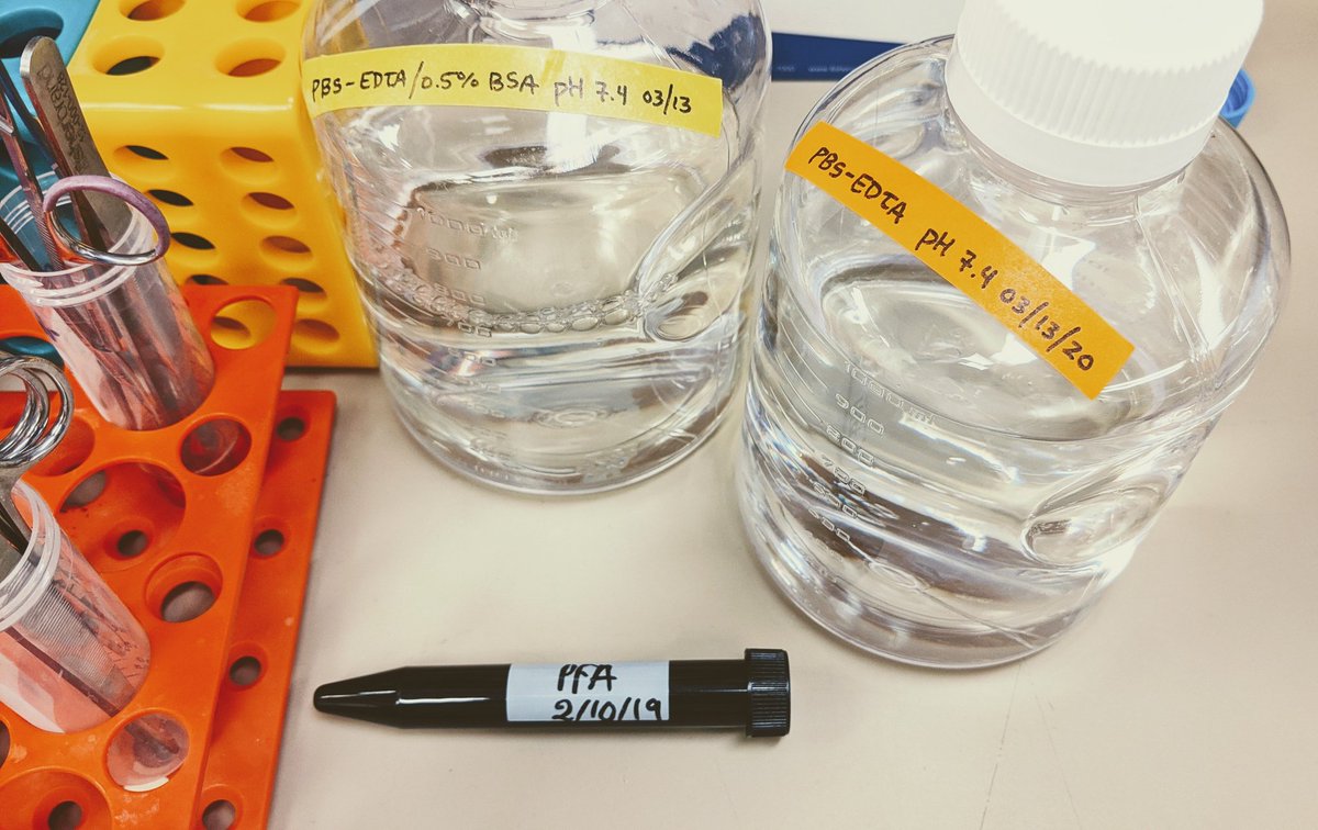 JoelBabdor's tweet image. #backinthelab for the first time since... Well , you know...