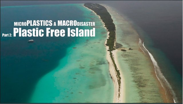 Smallest Plastics and the Largest Fish (@mplargestfish) on Twitter photo #microplastic and #whaleshark research in times of COVID19 and what the pandemic tought us about the importance of #scicomm. Read our newest <a href="/saveourseas/">Save Our Seas</a> blogpost: bit.ly/3doKNT2 which includes a mini-documentary on the outreach work we do. 🎥 <a href="/Wildisland_film/">Wild Island Pictures</a> #microplastic and #whaleshark research in times of COVID19 and what the pandemic tought us about the importance of #scicomm. Read our newest <a href="/saveourseas/">Save Our Seas</a> blogpost: bit.ly/3doKNT2 which includes a mini-documentary on the outreach work we do. 🎥 <a href="/Wildisland_film/">Wild Island Pictures</a>