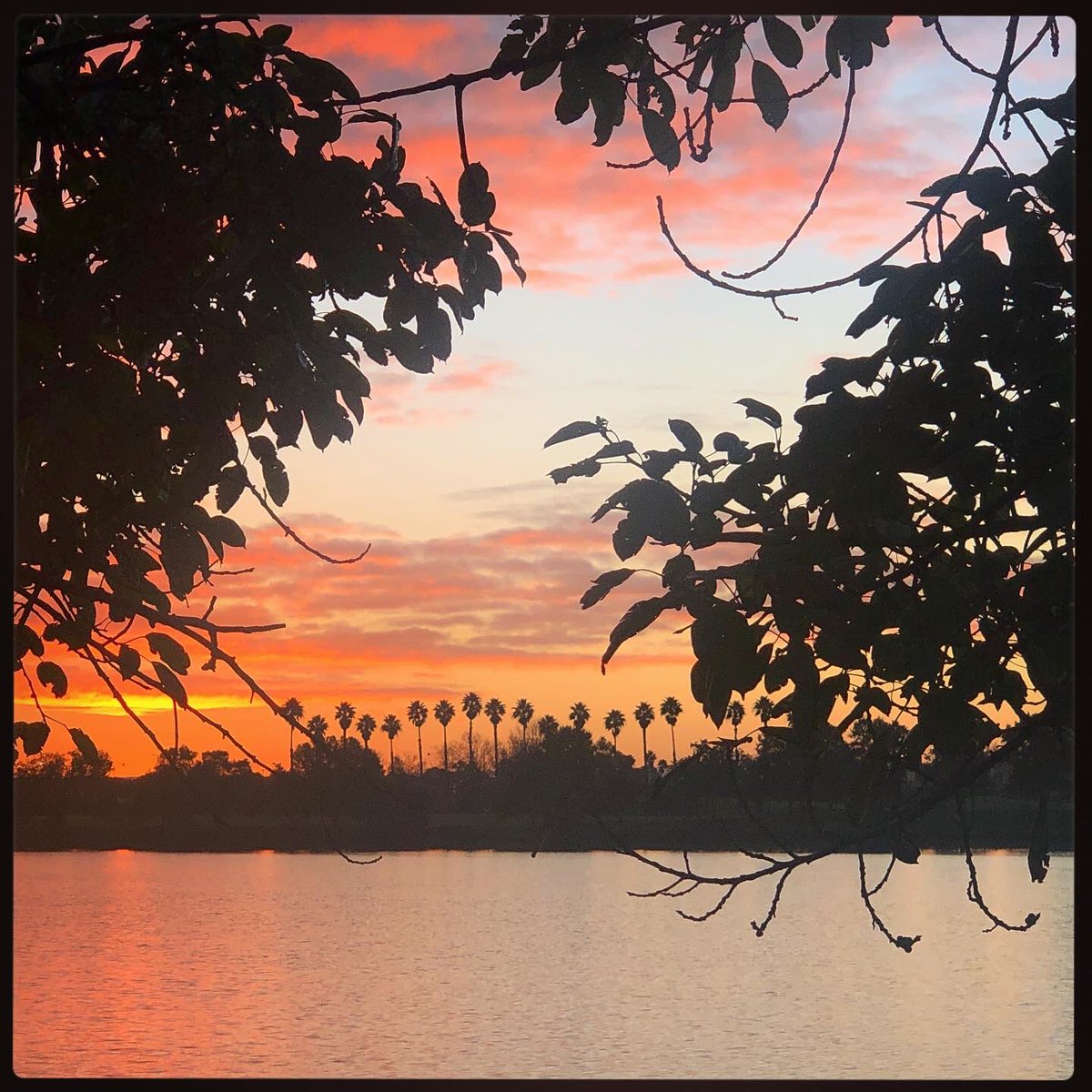 neatephotos's tweet photo. Yesterday’s nearly solstice sunrise over Swan River & @optusstadium, on planet Perth, Western Australia.
.
.
.
#justanotherdayinwa #nearlysolstice #sunrise #planetperth https://t.co/JLNkbbVjl8