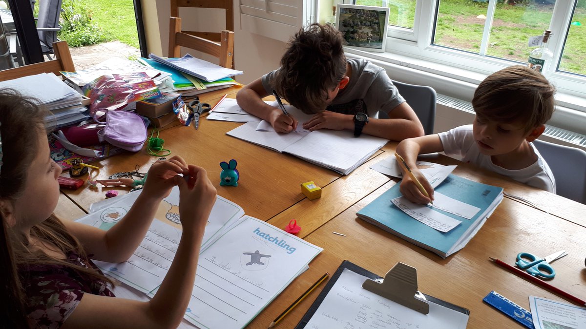 1stHelsby's tweet photo. This week's #SaturdayShoutOut is to all our Beavers, Cubs, Scouts and parents who are embracing our #HomeScouting. Here are some in action this week researching global issues and Scouting around the world and the wishes tree at Heathercliffe care home showing their lovely letters https://t.co/cX5eNu1Lhq