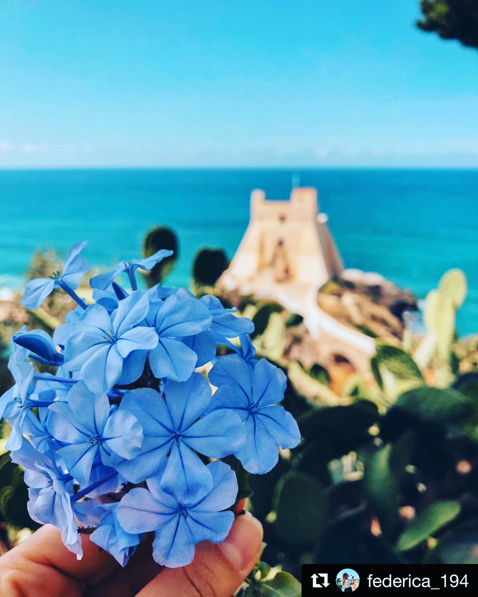 Buon #weekend #sperlonga #meteo #lazio #beach <a href="/visit_lazio/">Visit Lazio</a> <a href="/tesoridellazio/">Tesori del Lazio</a> <a href="/lucarallo/">Luca Rallo</a> <a href="/SkyscannerIT/">Skyscanner Italia</a> <a href="/dcq_italia/">DCQItalia 🇮🇹</a> <a href="/igerslatina/">Igers Latina</a> <a href="/3BMeteo/">3B Meteo</a> <a href="/eborghicom/">e-borghi</a> <a href="/BorghiPiuBelli/">Borghi+belli Italia</a> <a href="/PMLazio/">Direzione Regionale Musei Lazio</a> <a href="/laziostories/">Lazio Stories</a> <a href="/SperlongaP/">Sperlonga Escursioni - Boat tours & rent</a> <a href="/josephmaric/">Joseph Maric</a>