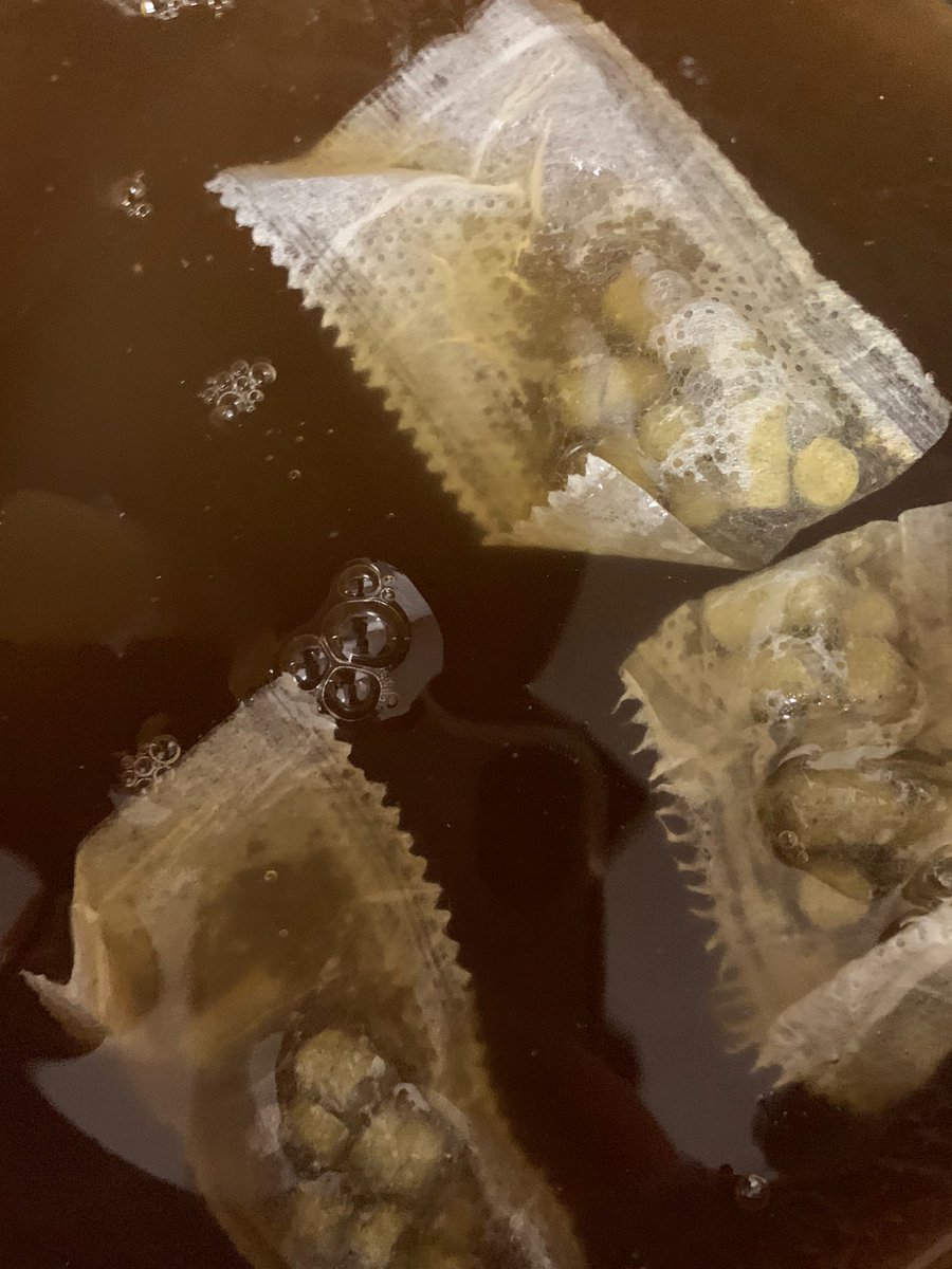 The First Brewnette tweet media