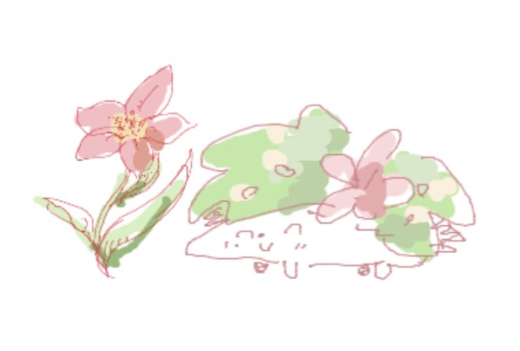 ついにグラデシアの花に辿り着いたシェイミ 佐々木 咲綺のイラスト