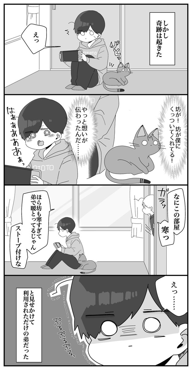 ねこ好きの弟VS弟嫌いのねこ 