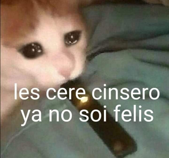 memes feos yo qué sé (@memefeos) on Twitter photo 