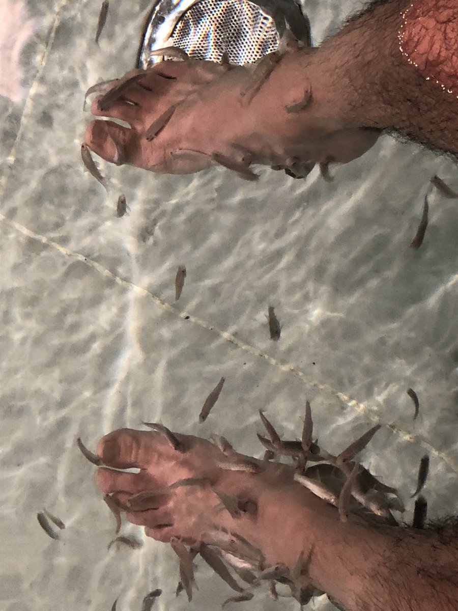 kabuboromouke's tweet photo. 【朗報】
箱根小涌園ユネッサンにて、父親の貫禄の差を見せつける
#DrFish https://t.co/H80SI3m28v