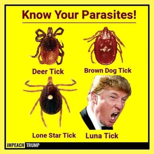 jj_connell's tweet photo. #AnyoneButTrump2020 https://t.co/RxWe81CuS7