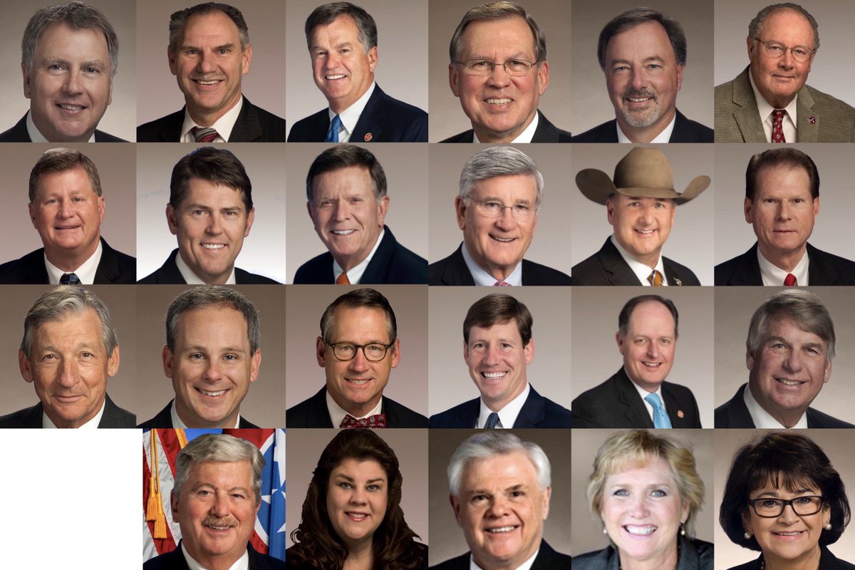 In the "early hours of the morning, police officers kept the public out of the Capitol building and arrested some protestors" while this group of Republican Tennessee State Senators hastily pushed through a “heartbeat bill” attempting to ban abortion after 6 weeks of pregnancy.
