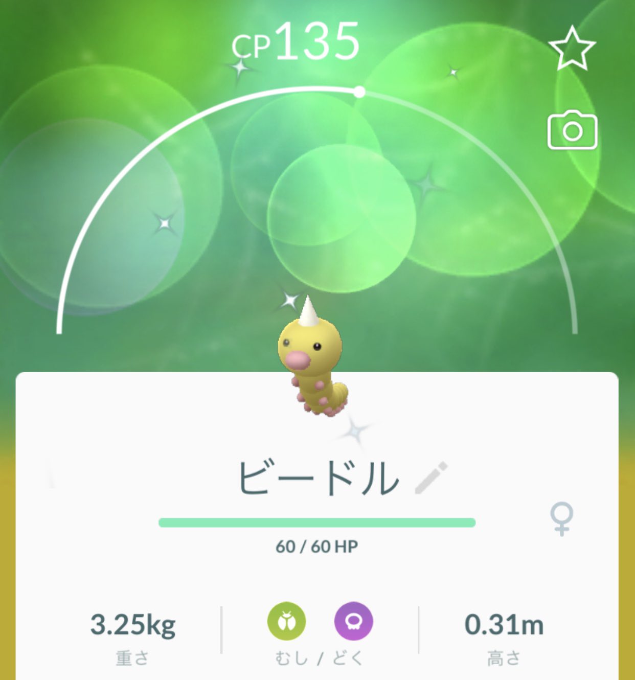 Mayu 色違いビードル1匹目get ポケモンgo ポケgo ビードル イベント 色違いポケモン T Co Xmr8u8xpjp Twitter