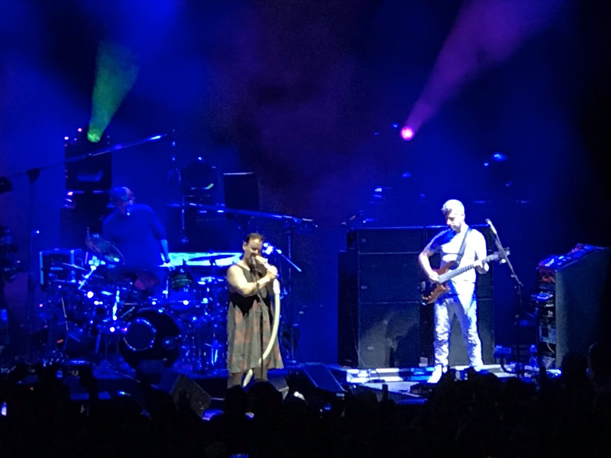 Take me back! #phish #blossom