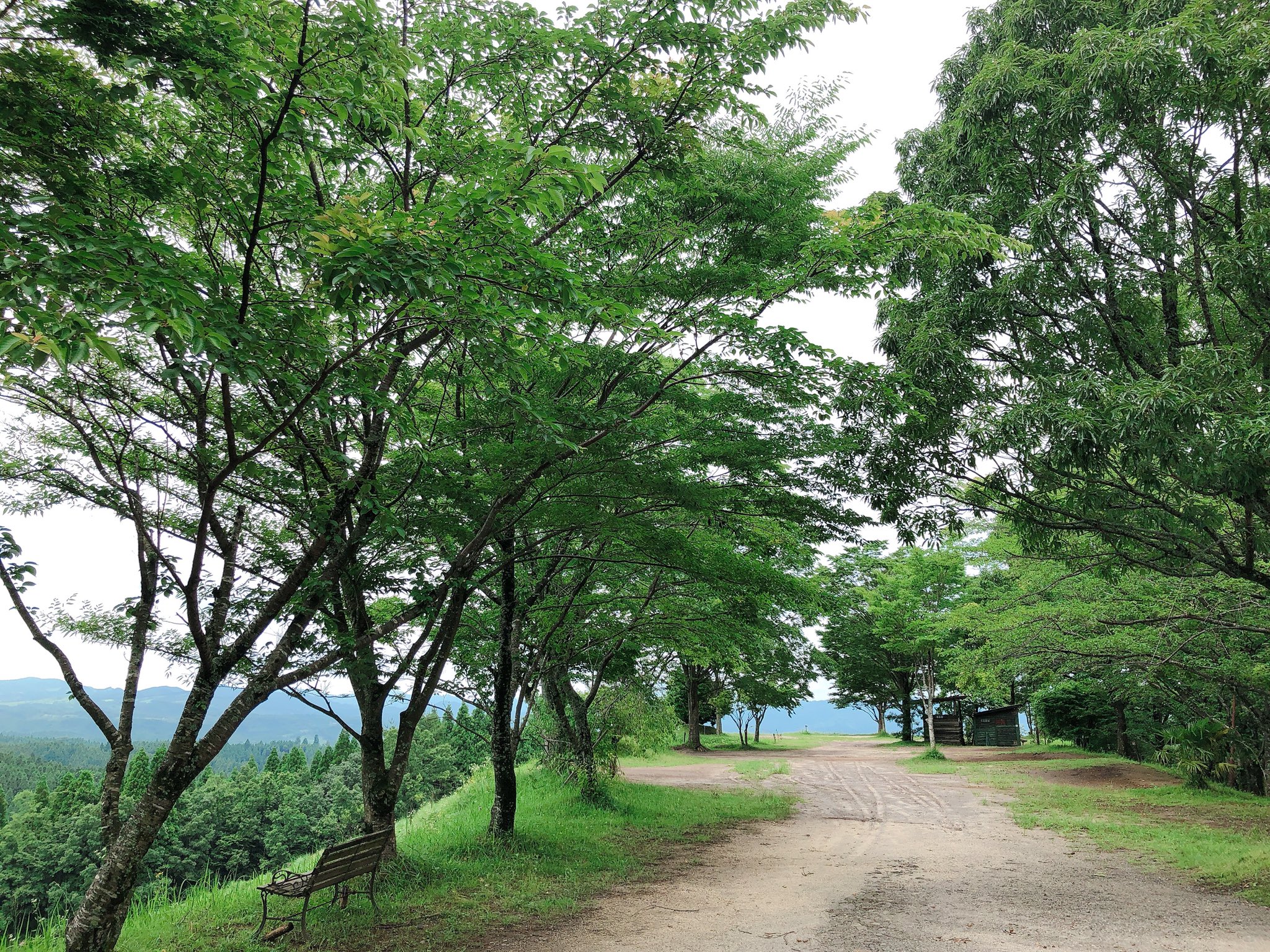 オート 蔵迫 温泉 キャンプ 場 さくら