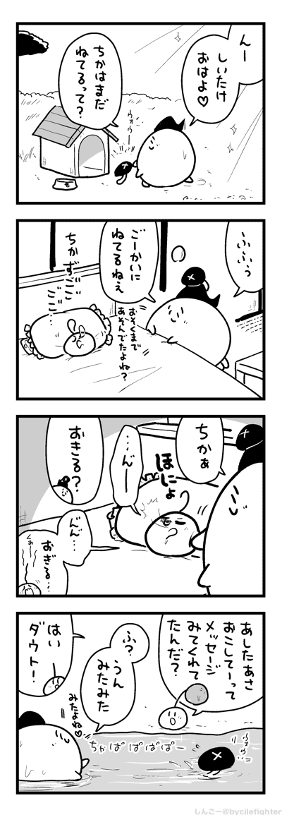 めっせーじきどくのまちゅうら 