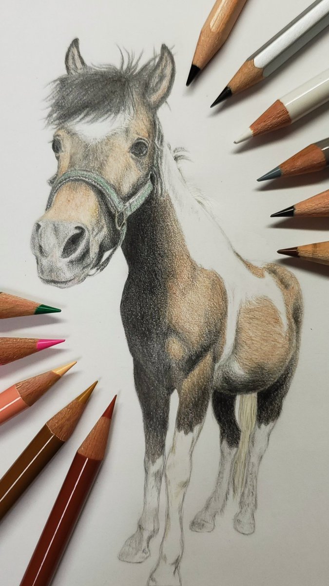 Twoucan 馬活 の注目ツイート イラスト マンガ コスプレ モデル