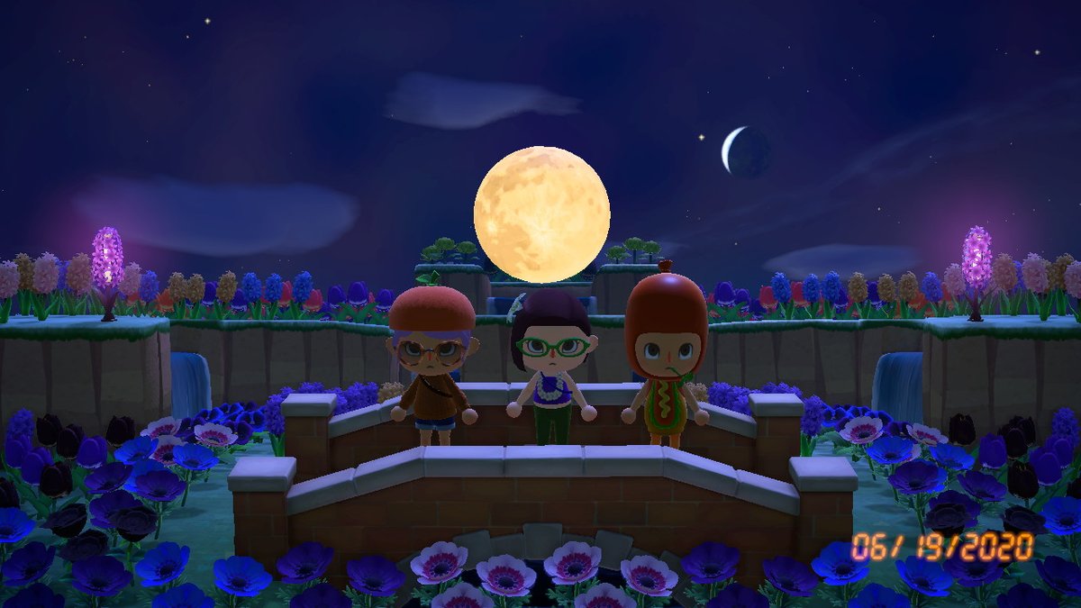 RobbieBulilan's tweet image. #AnimalCrossing #ACNH #NintendoSwitch