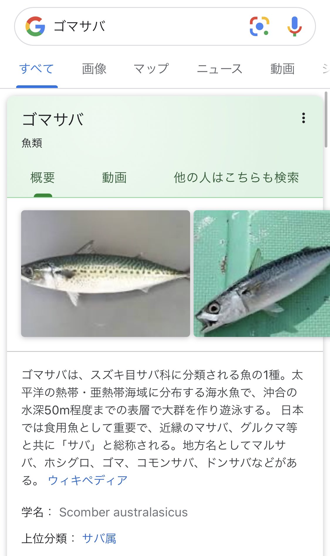 キムカン On Twitter ゴマサバって名前の魚がちゃんといるのね 料理名だとばかり思ってた