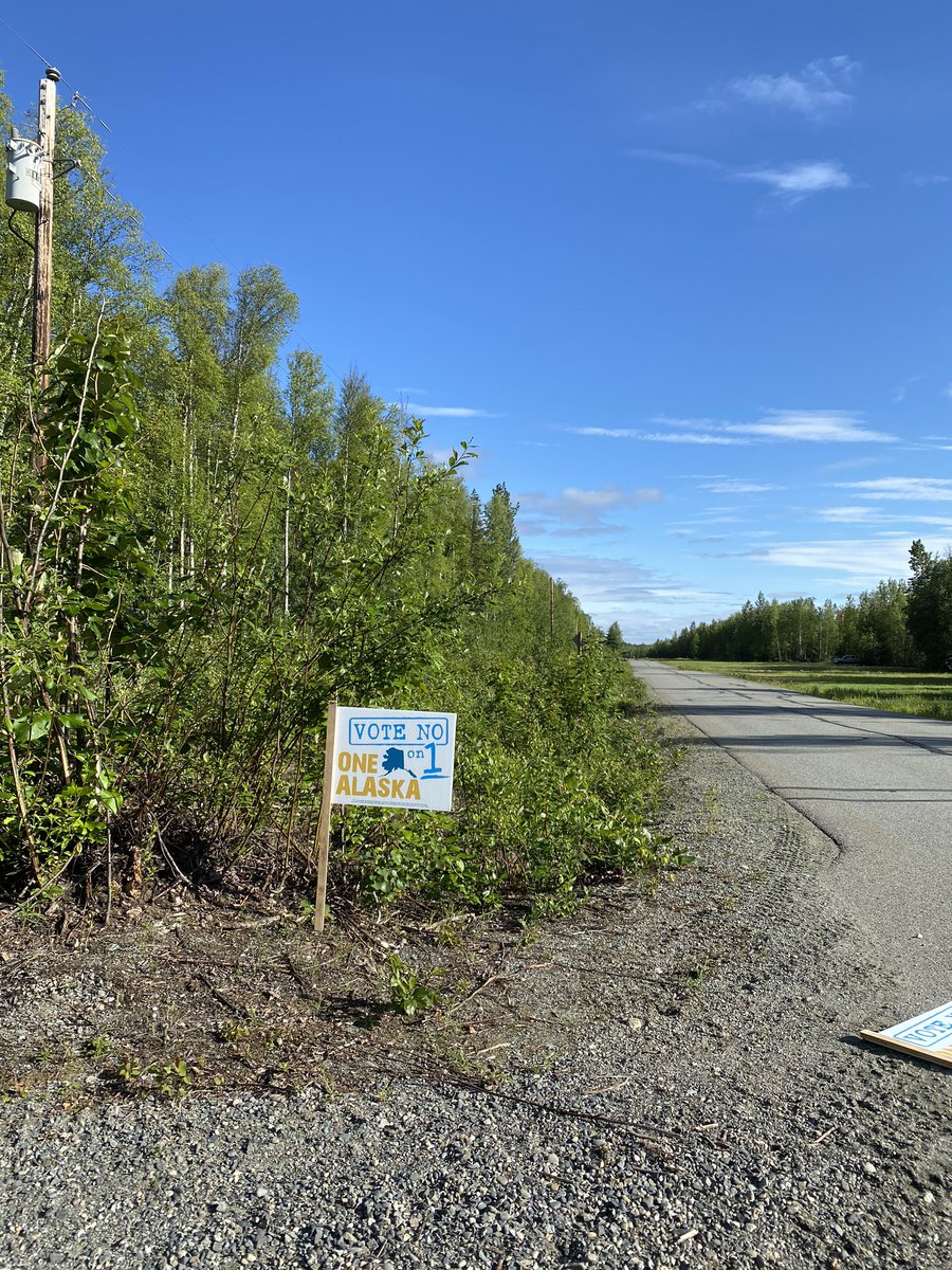 Good day to plant along the road. #hallslonglakelife