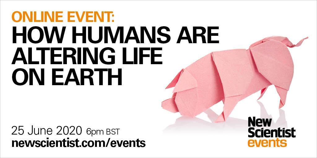 newscientist's tweet image. Join author Helen Pilcher as she explores how humans have been tinkering with nature and altering the course of evolution via selective breeding, genetic technologies and by changing the biosphere bit.ly/2AU54Ct