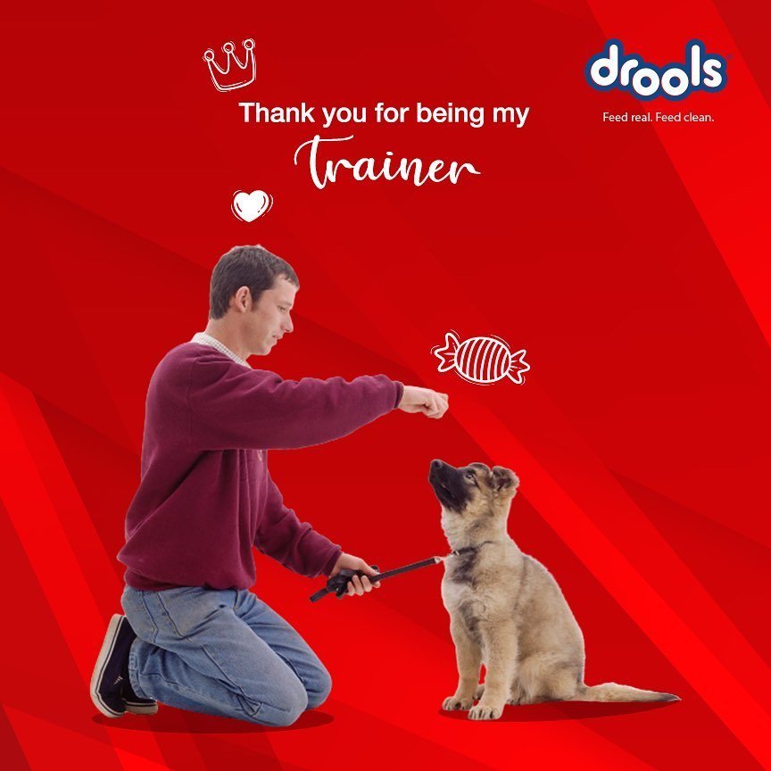 DroolsIndia's tweet photo. #HappyFathersDay to all the PET DADβs out there! πΎππ»
Swipe right to see what a #PetDad would do for their furry babies. πΆβ€οΈ
.
.
.
#DroolsIndia #FeedRealFeedClean #RealNutrition #RealChicken #FeedReal #Droolicious #PetFood #FathersDaySpecial #FathersDay2020 https://t.co/BlicCXmlIi