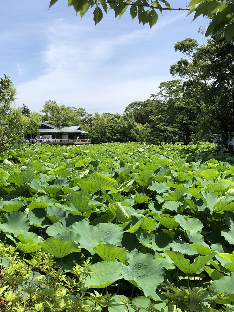 見渡す限りのhshshshshshs…
作品の搬入に行ってきましたぞぃ
後できちんと報告しますねぃ〜 