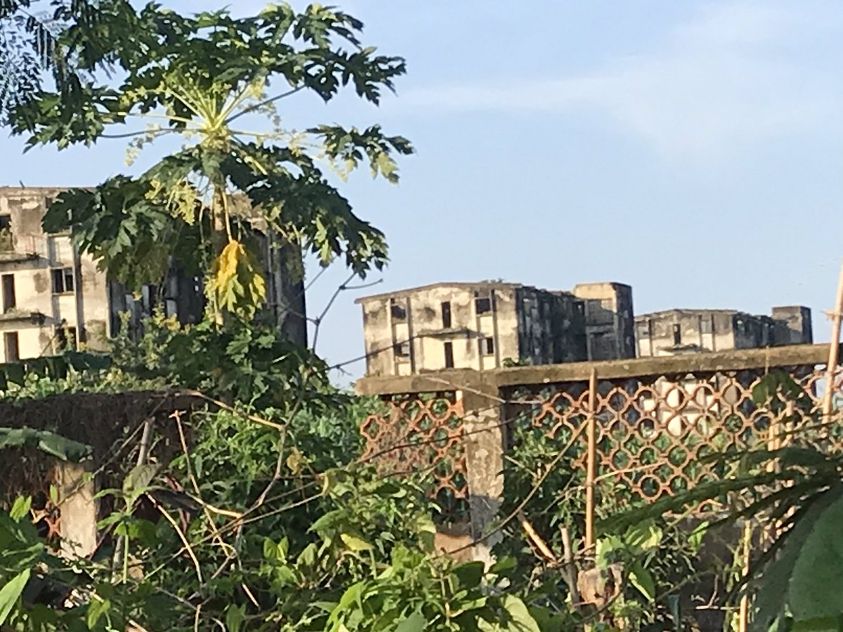 theautoistng's tweet photo. What is the backstory on these abandoned buildings in @IbadanCityNg  https://t.co/nsHvMhhDlZ https://t.co/rYmBMnKkdj