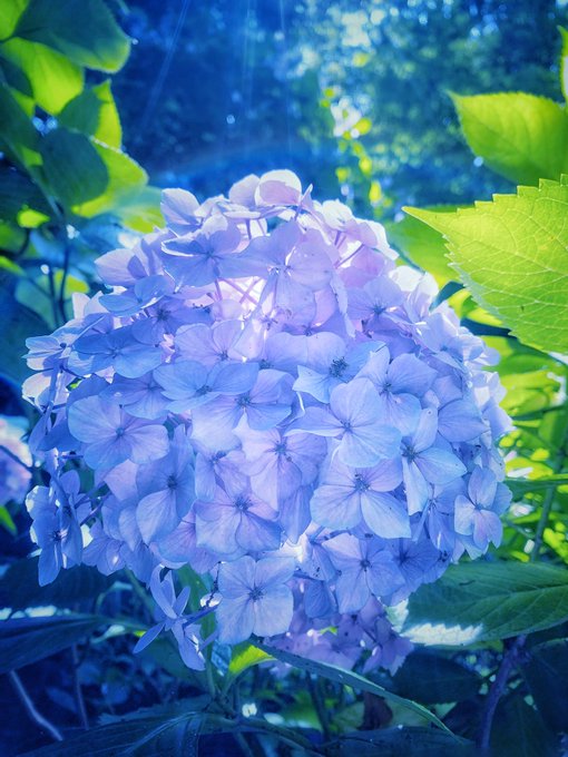 Twitterのコスプレ画像7