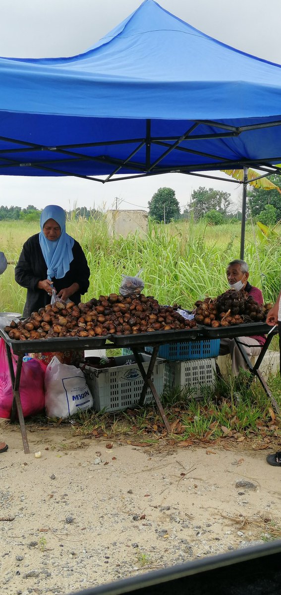 TheAinaNabila's tweet photo. Minta tolong rt untuk luaskan rezeki makcik dan pakcik ni. Diorang jual buah salak hasil tanaman sendiri.

1kg =RM10

Location: Tepi jalan Sg Soi, Kuantan (jalan nak gi Tg Lumpur).

Kalau tak dapat beli, rt pun okey. Kita luaskan rezeki orang, Allah akan luaskan rezeki kita. https://t.co/jpTMSt2ot6