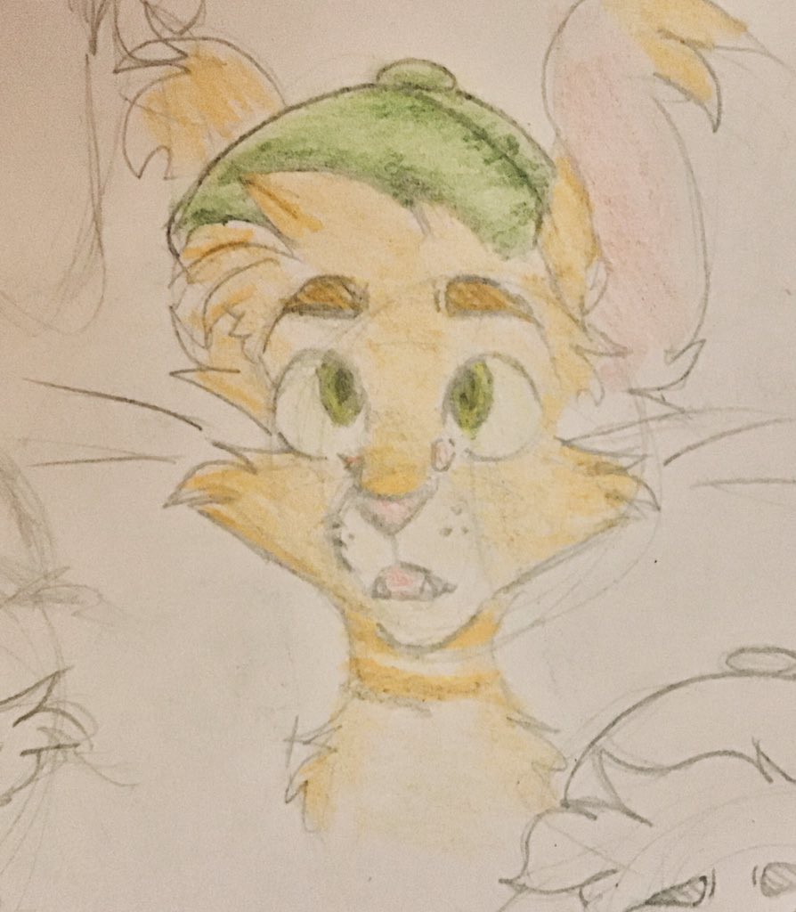 LiquidObso's tweet image. So I made a new character!! His name is Lando. He’s super hyper and childish cause he’s 12, but he’s so cute 🥺❤️ 

#originalcharacters #art #characterdesign #ArtistOnTwitter