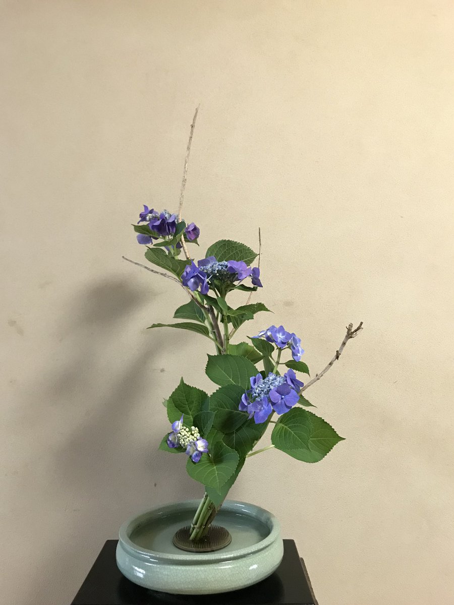 未生流 大津いけばな教室 紫陽花の格花 色々と反省点はありますが できる限りで T Co Sbp2jsthfi 未生流 大津いけばな教室 T Co Udcctgvfns 未生流 いけばな 華道 格花 紫陽花 ガクアジサイ 教室 大津市 T Co 未生流 大津いけばな教室 紫陽花の格花 色々と反省点はありますが できる限りで T Co Sbp2jsthfi 未生流 大津いけばな教室 T Co Udcctgvfns 未生流 いけばな 華道 格花 紫陽花 ガクアジサイ 教室 大津市 T Co