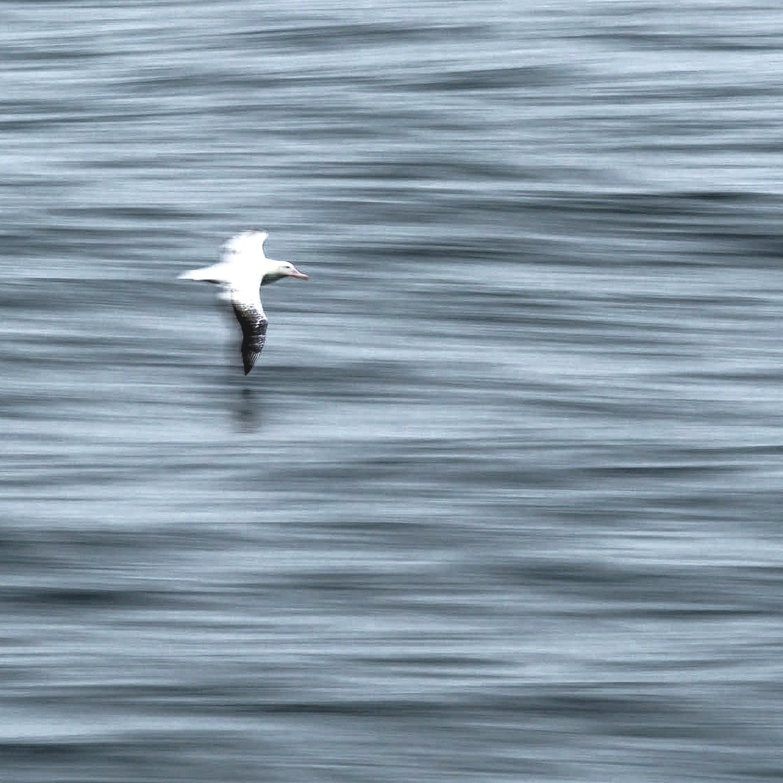 Ian Sanderson tweet media