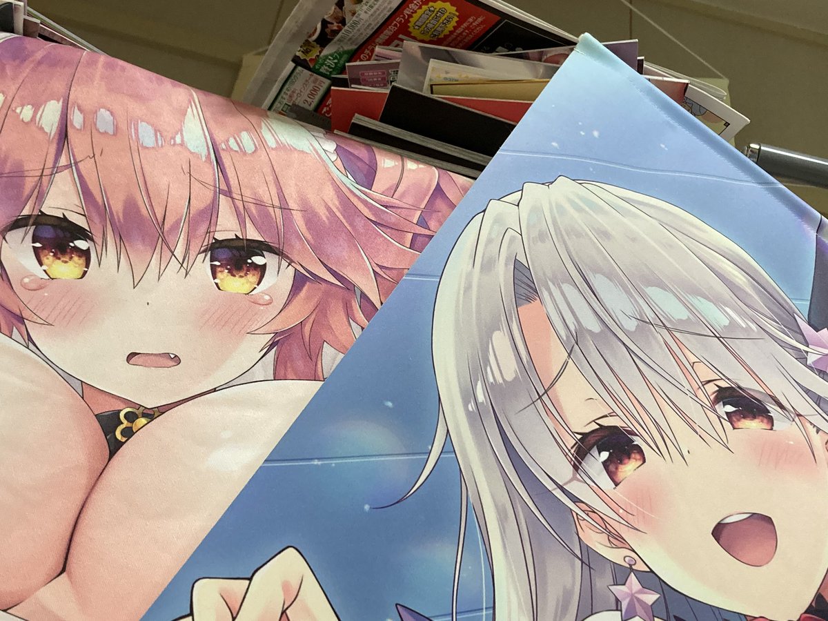 レク さそりがため Sasorigatame 先生のイリヤタペストリーが届いたのでタマモと並べてみるテスツ 目が幸せ