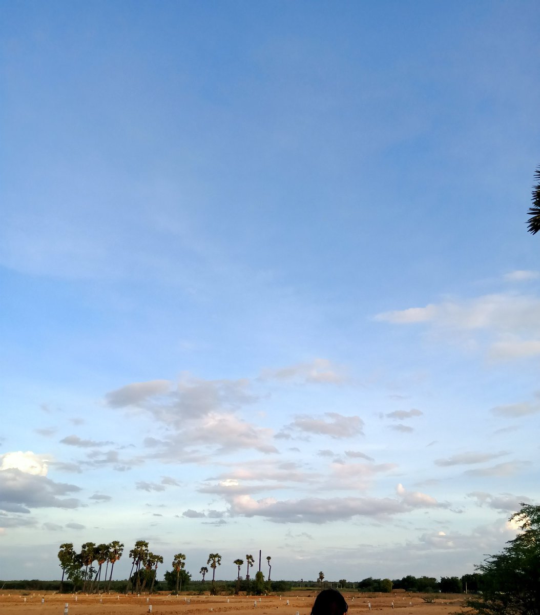 A few clicks of my casual evening walk .... #NatureLove #MadhuriClicks