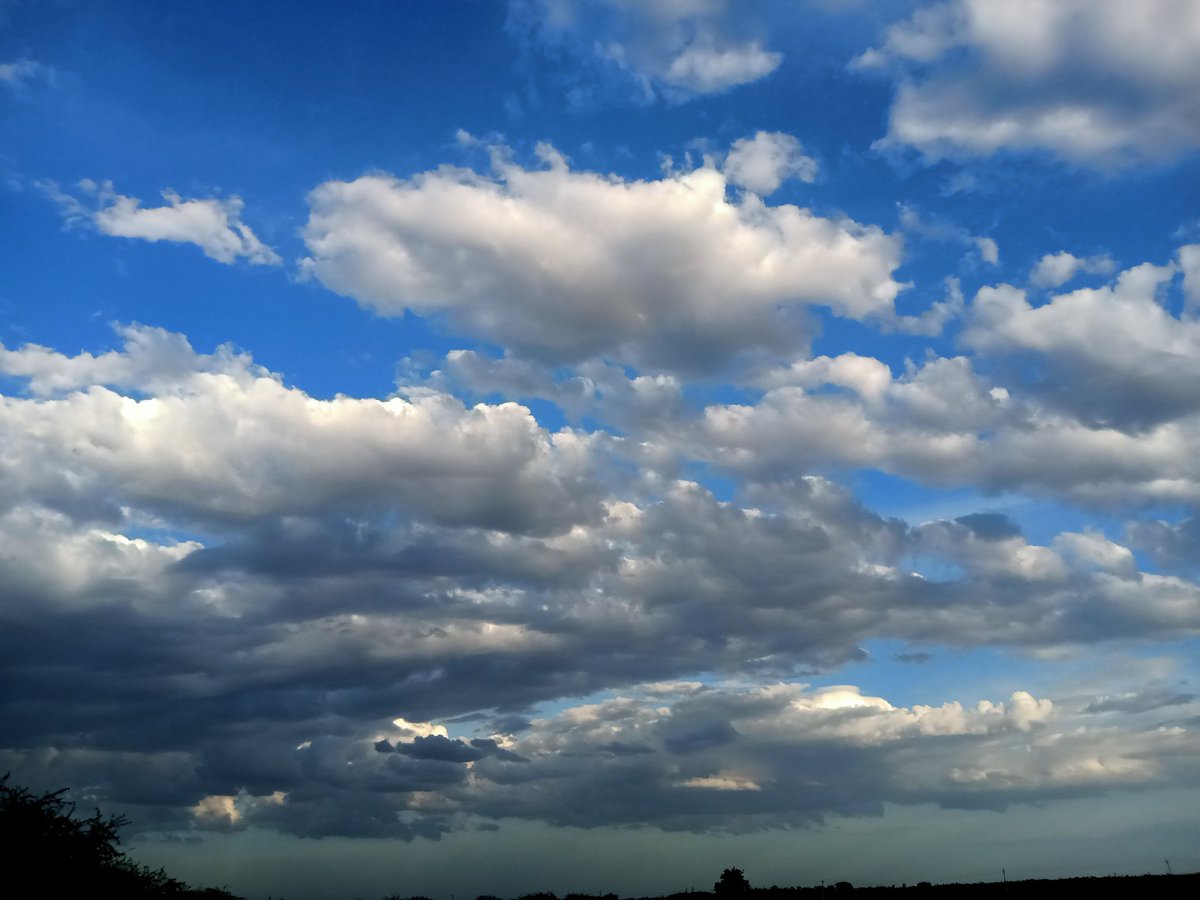 A few clicks of my casual evening walk .... #NatureLove #MadhuriClicks
