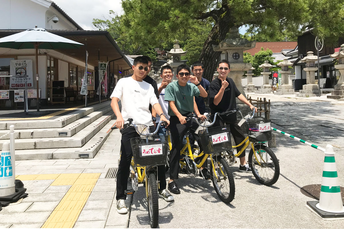 うめ てらす 自転車