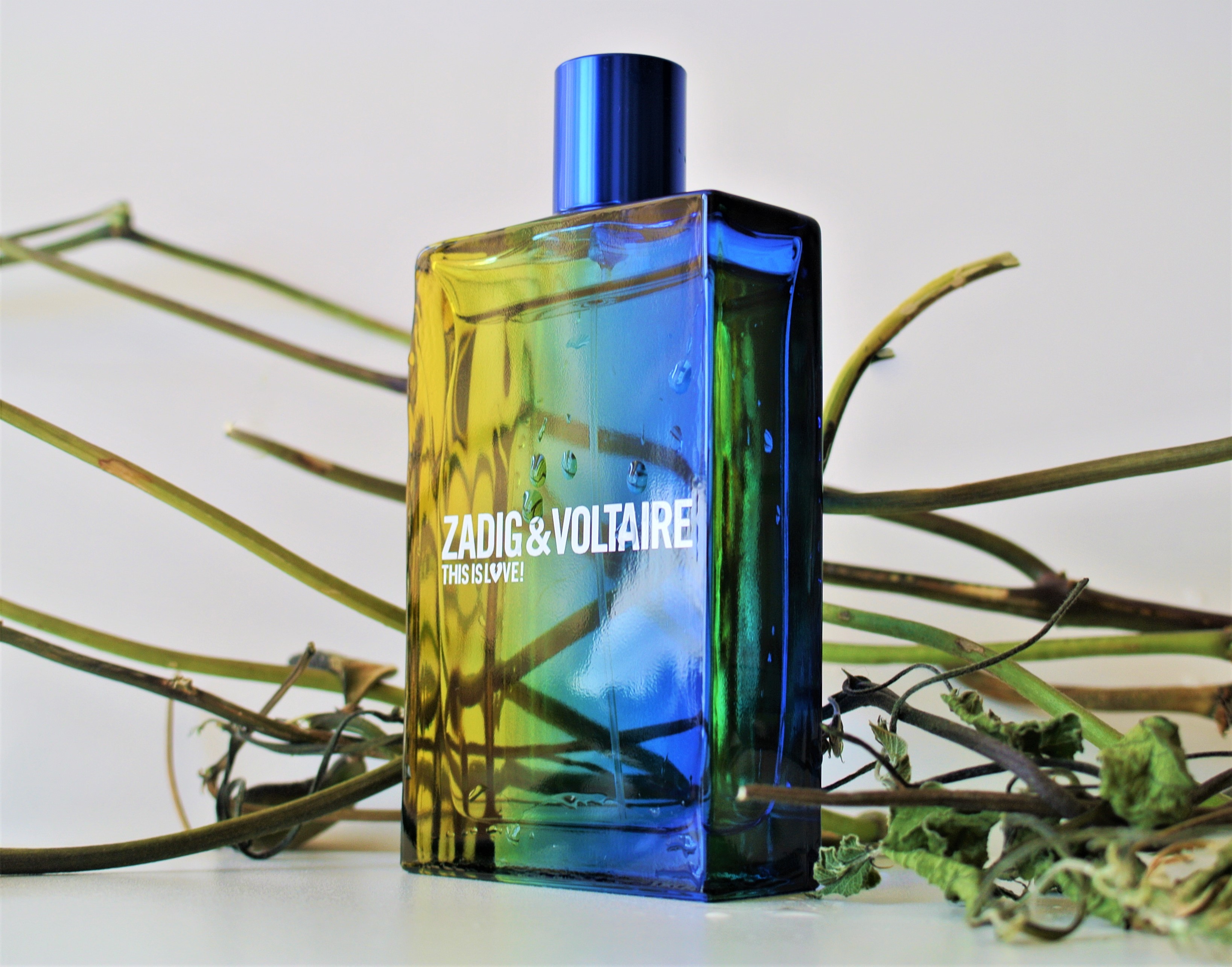 Dischem perfumes store for him