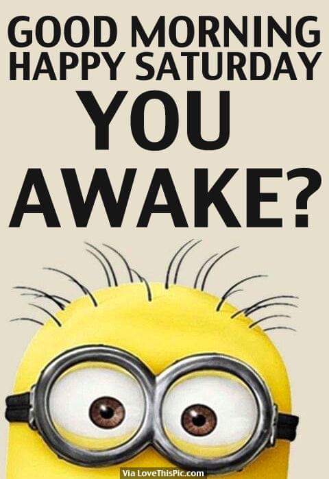 Springbokwalker's tweet image. 