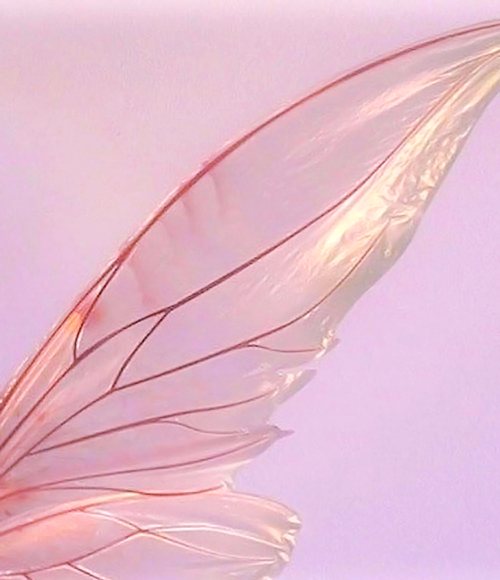 lilforclearskin's tweet photo. 🌺 https://t.co/e5oPpKHSgJ