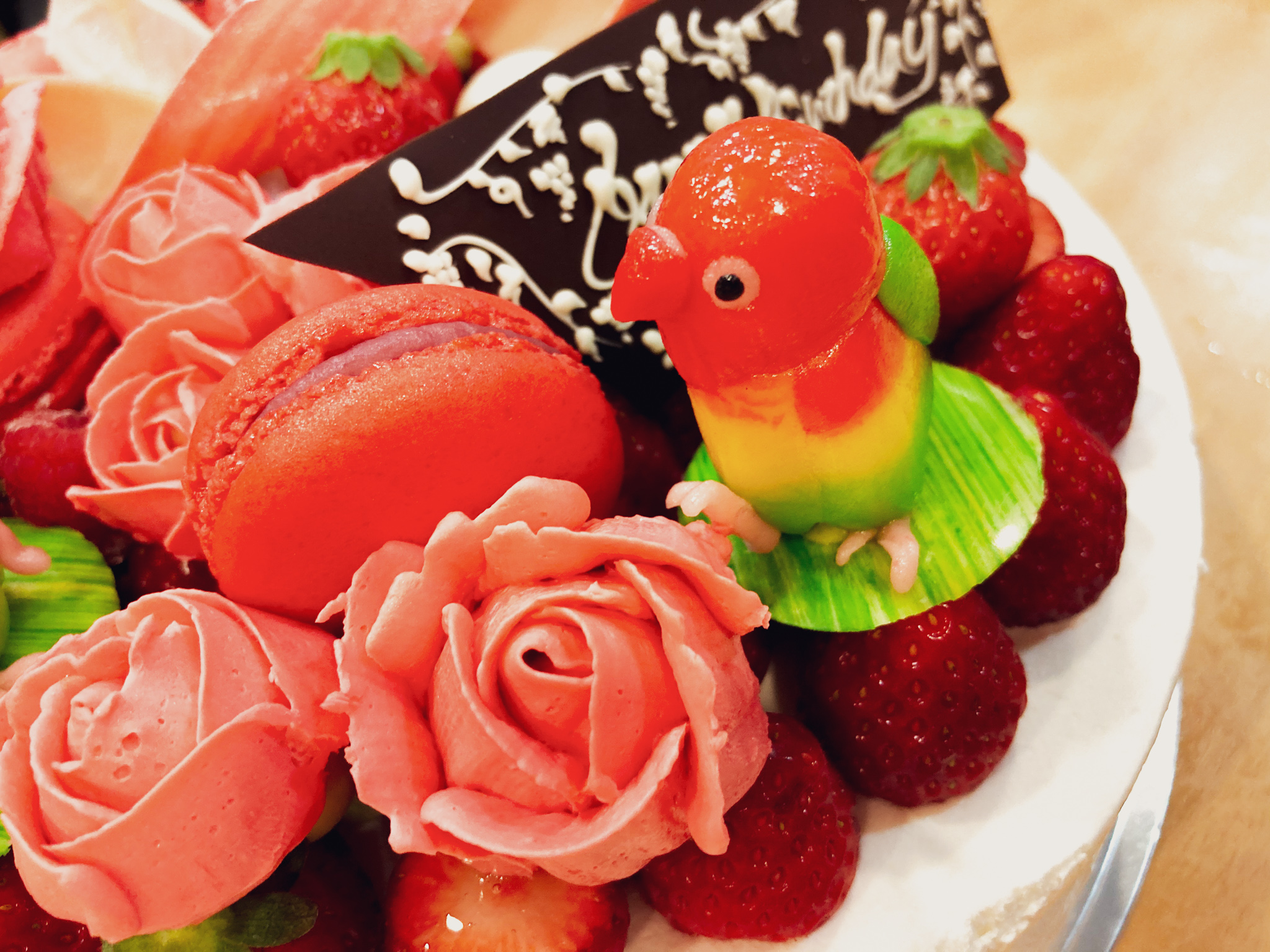 きょおと ボタンインコのケーキで誕生日を祝ってもらいました ボタンインコ ボタンインコケーキ カズノリイケダ Kazunoriikedaindividuel T Co 5y0hcicnbv Twitter