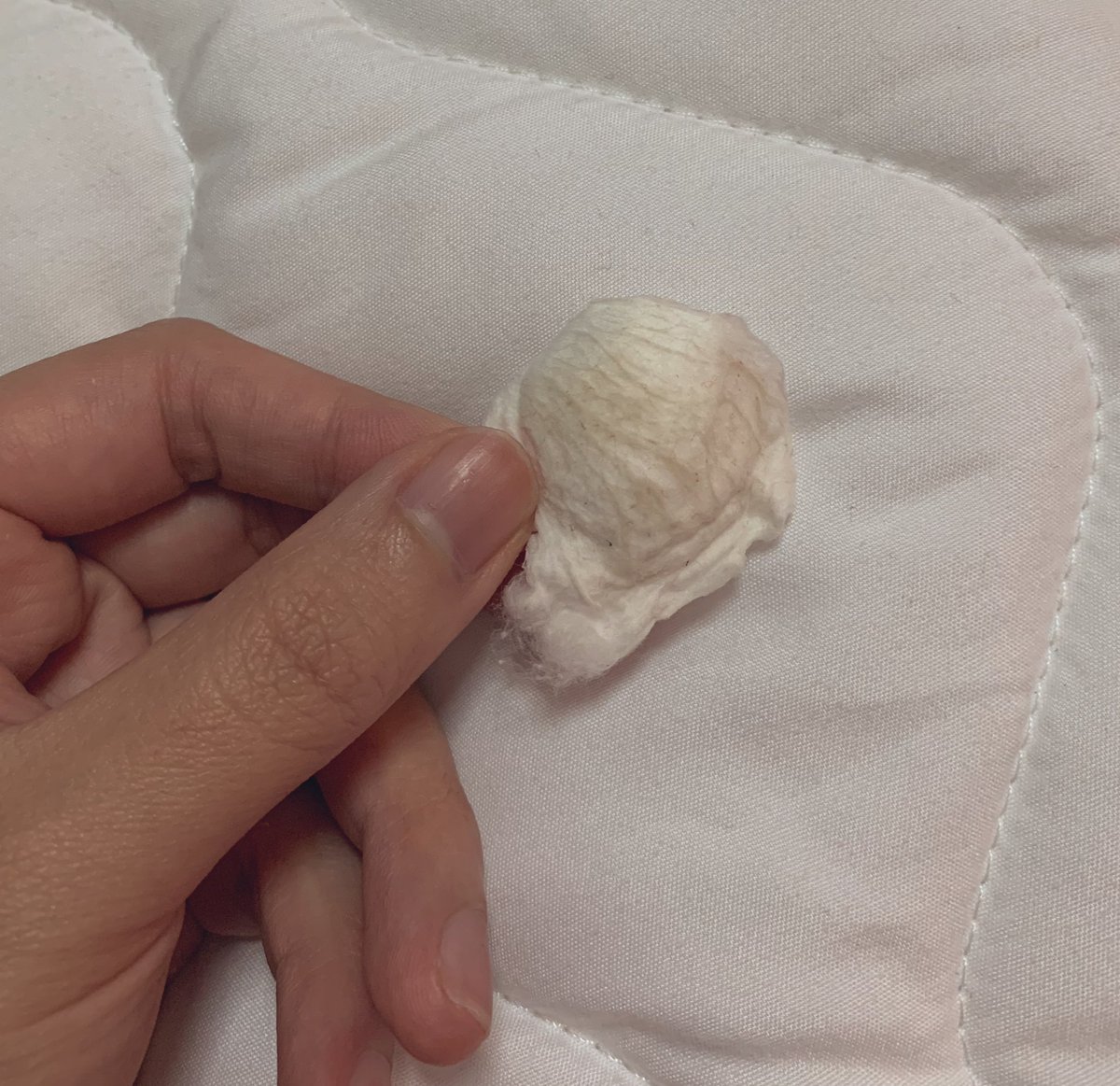 cherchobchob's tweet photo. ไอ้ที่เป็นสำลีดำๆนี่คือเช็ดจากรักแร้เราเอง55555555 เช็ดหลังอาบน้ำด้วยนะ คือเอาสครับถูๆอาบน้ำเสร็จเช็ดตาม คือมีคราบแบบในภาพเลย ละเอาครีมโบกทับ แค่ครั้งแรกก็คือไม่สงสัยแล้วว่าทำไมรักแร้เจนนี่ ปาหน��นถึงขาวขนาดนั้น #ไว้รีวิวห้ามขายของโว้ยย #ของดีบอกต่อ #HowtoPerfect https://t.co/ZYmLEsgZgx