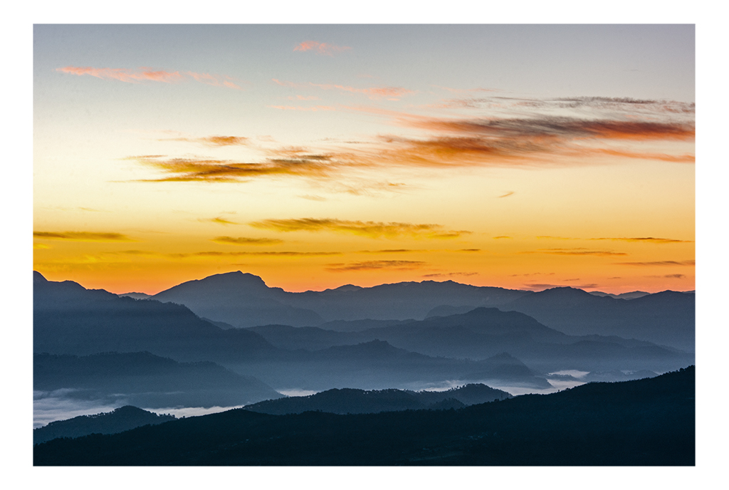 SATPAL__SINGH's tweet photo. Here are few images which we shared recently on our photography art page at facebook. 

Here is link https://t.co/9A8EQ3tvau if you wish to visit for more such art works.

#naturephotography #nature #birds #landscapes #wildlife #artphotography #satpalsingh #wildlifephotography https://t.co/zEZjxMvHkv