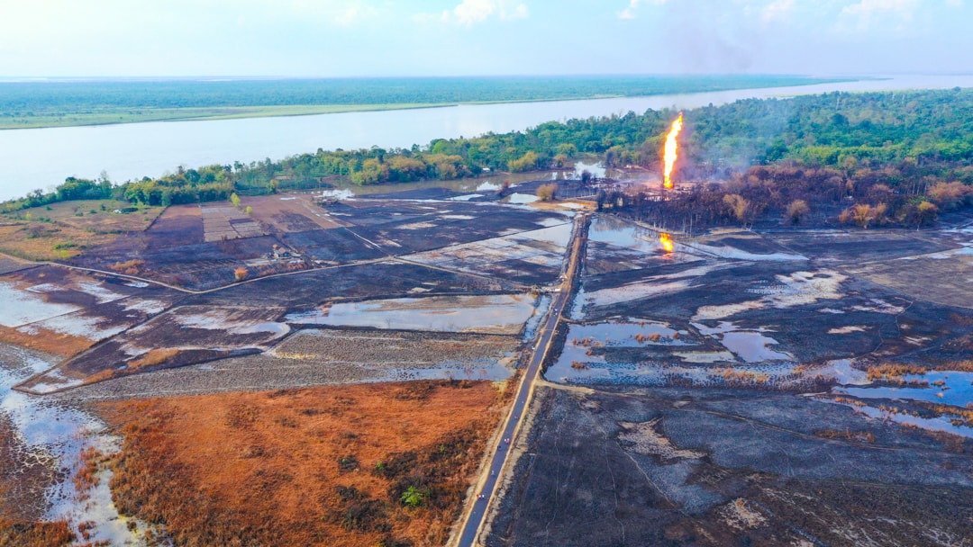 VaishaliRawat's tweet photo. I spent this week going thru photos of dead wildlife—critically endangered,endemic animals, charred to ashes, covered in oil.
See our report for @conserve_ind on the impacts of the #oilspill and #inferno in #Baghjan Maguri wetlands&amp; #DibruSaikhowa forests.
https://t.co/m54GCLdTDW https://t.co/yh23r4lzv7