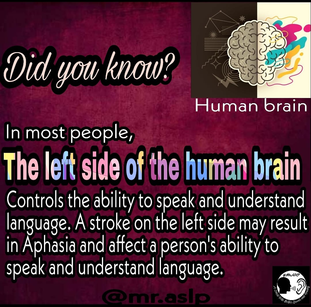 AslpMr's tweet photo. #National Aphasia Awareness Month, observed in June, is a national campaign to  raise public awareness about a language disorder. 
So it's time to create some awareness.
#mraslp #aphasia #aphasiaawareness #aphasiaawarenessmonth #aphasianfamily #aphasian #brainfacts https://t.co/kHHTw8R47l