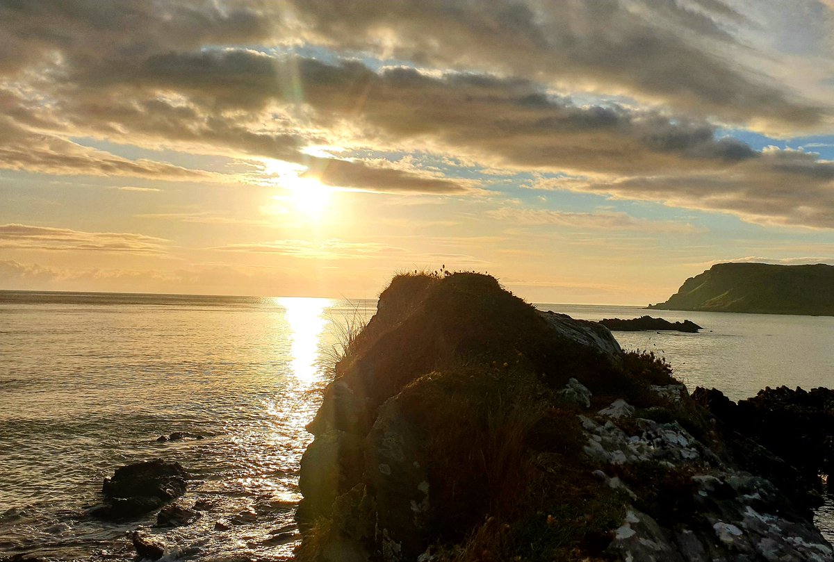 geraldine timlin tweet media