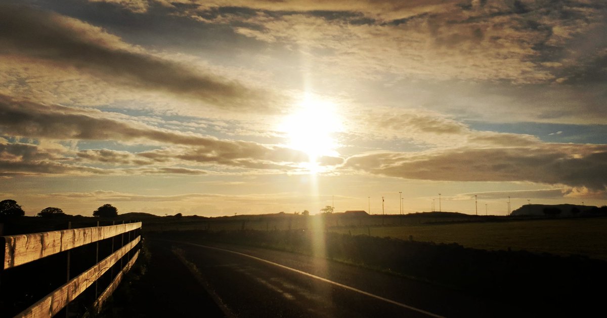 geraldine timlin tweet media