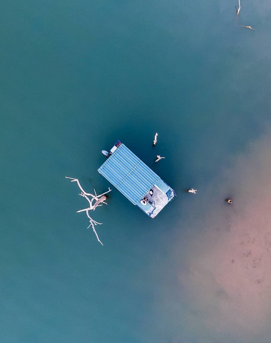 #ZimBho👍 tweet media