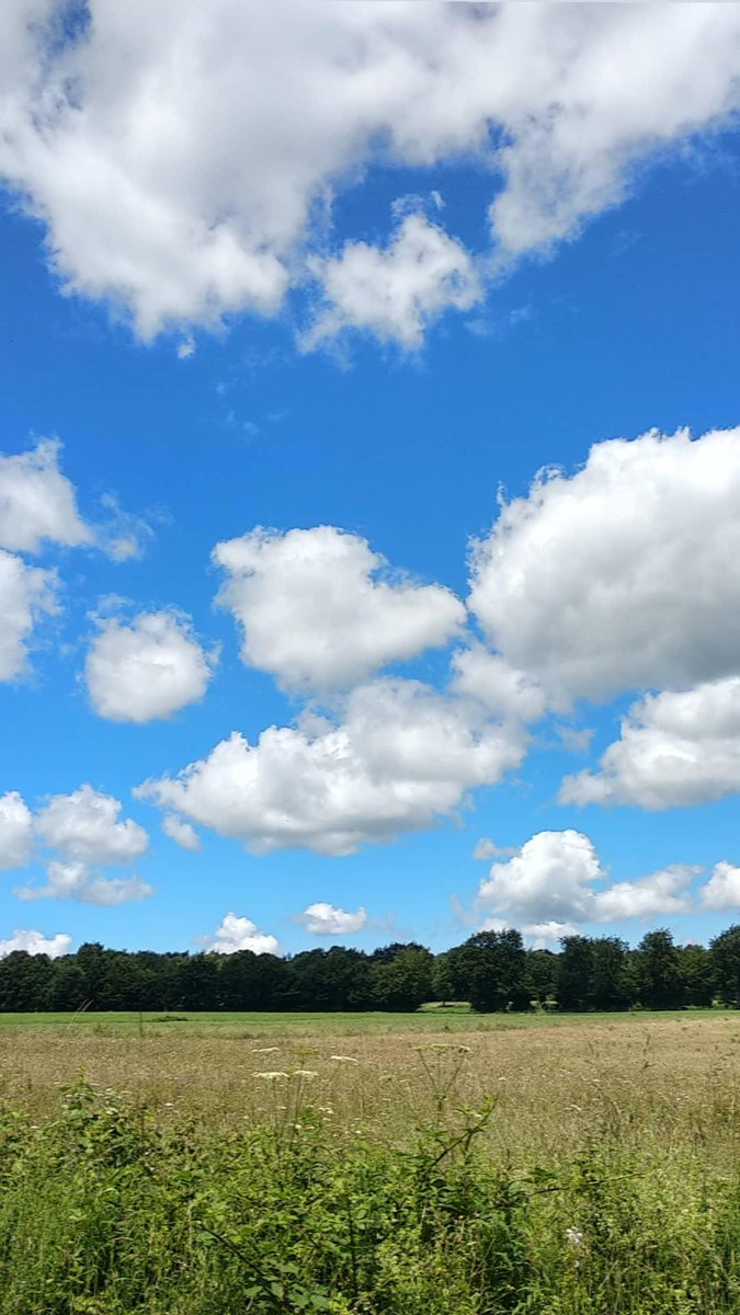 FYI,  #Vennbahn used to be a train track during World War I - II to transport coal & iron. They recently transformed the track across Germany - Belgium - Luxembourg into a cross country biking track. So you can imagine, the line went across wilderness, farms & villages...