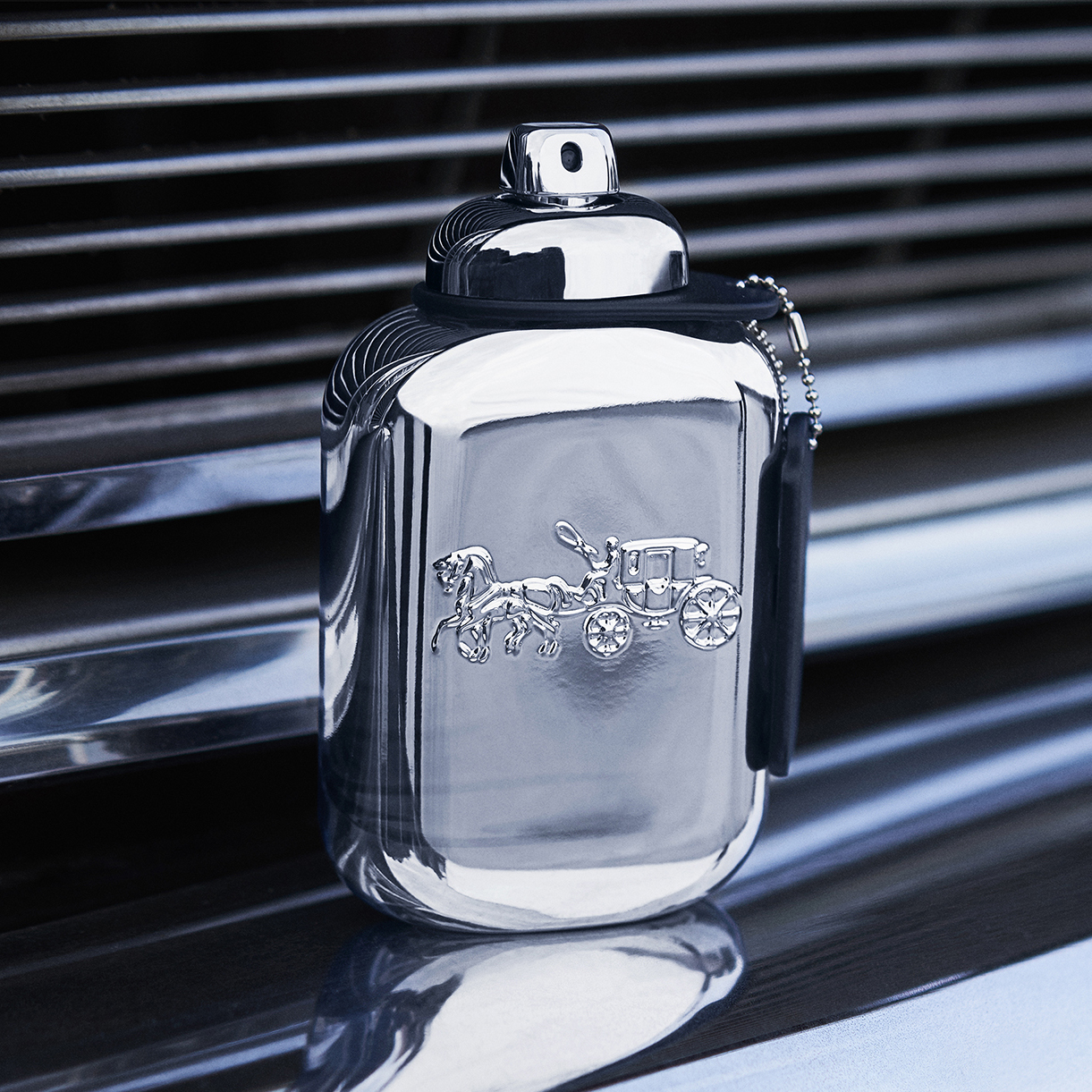 Coach perfume dischem hot sale
