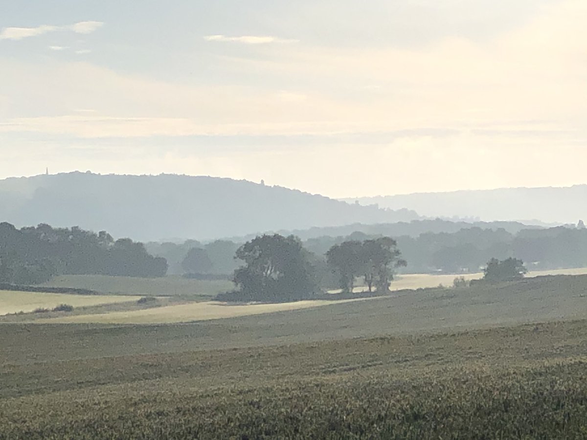 alan65834785's tweet photo. Beautiful morning in the North Downs around Abinger!! #abinger #morningride #visitsurrey @surreylife @bbcearth @surreyswildlife @HelloDorking @Visitdorking @MoleValleyLC @MoleValleyDC @VisitSurrey https://t.co/wLc79M2lTK