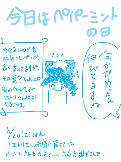悪魔ちゃん日記
6月20日(土)

今日はペパーミントの日!
我が家ではカモミール、バジル、虹の玉、ヒメツルソバなんかを素人ながら育ててますが、ハエトリさんが…これは近くに種が落ちた別種が大きくなってるのだろうか?詳しい人教えてください…

#絵描きさんと繋がりたい #植物 #食虫植物 