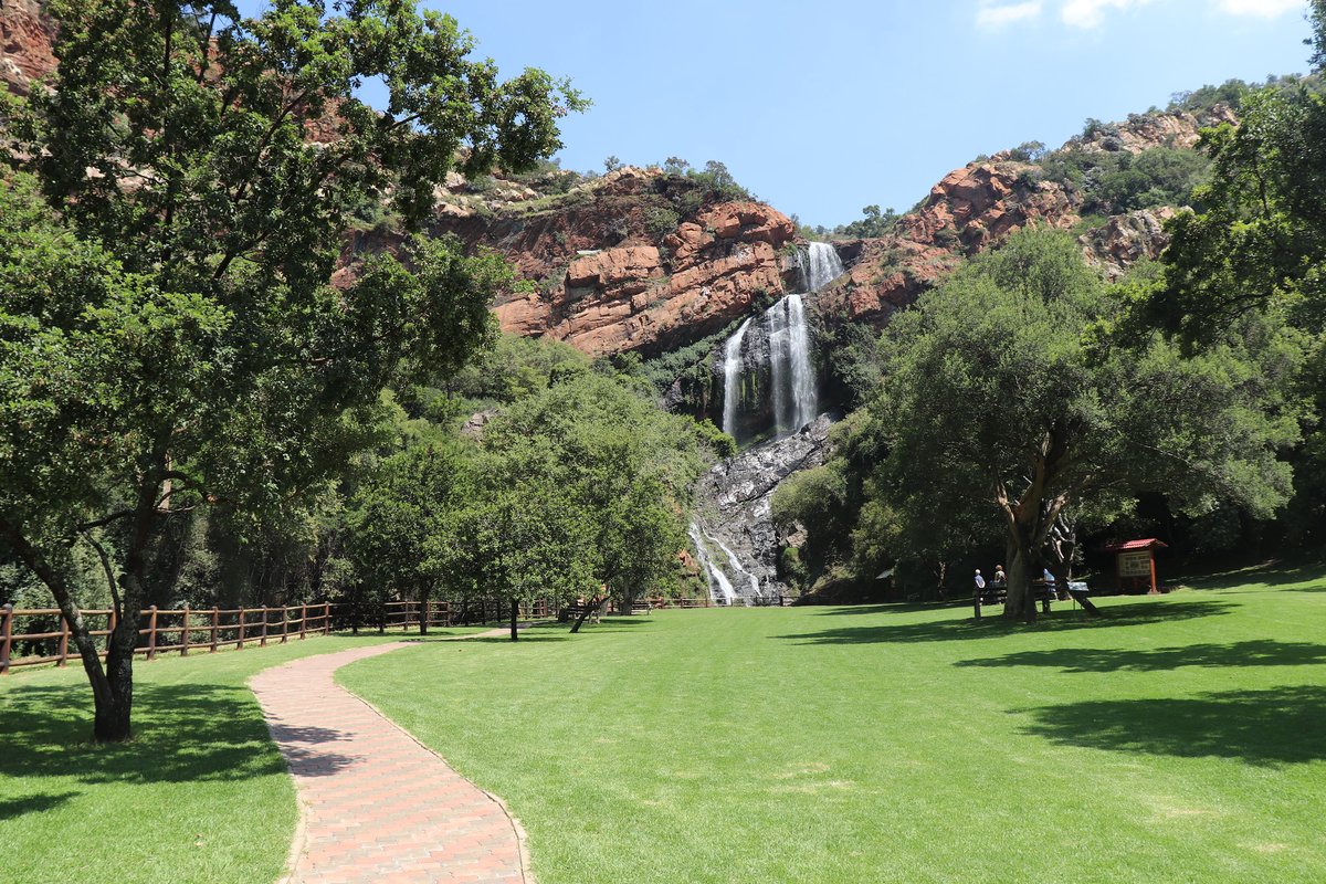 SANBI_ZA's tweet photo. Walter Sisulu National Botanical Garden was founded in 1982, but has been a popular venue for outings since the 1800s. The garden has been voted the best place to get back to nature in Gauteng for nine years in a row https://t.co/xNImqfQNB4